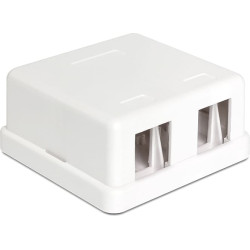 Delock Keystone Surface Mounted Box 2 Port