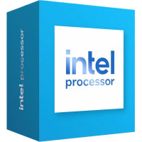 Intel 300 Prozessor LGA16A  6MB Cache 3,9GHz retail