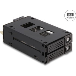 Delock Slim Bay Mobile Rack for 2 x 2.5″ U.2 NVMe SSD