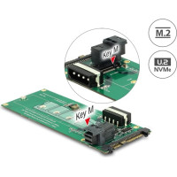 Delock Converter U.2 SFF-8639 / SFF-8643 NVMe > 1 x M.2 Key M