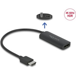 Delock Adapter HDMI-A male to DisplayPort female 4K 60 Hz