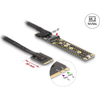 Delock Riser Card NVMe M.2 Key A+E male to Key M Slot with 20 cm cable