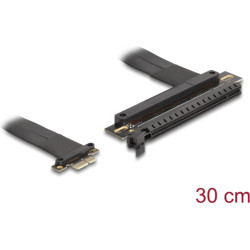 Delock Riser Card PCI Express 3.0 x1 male to x16 slot with cable 30 cm