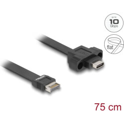 Delock USB 10 Gbps Flat Cable Type-E Key A 20 pin male to USB Type-C™ female panel-mount 75 cm