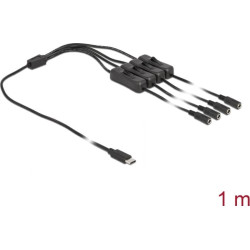 Delock Cable USB Type-C™ male to 4 x DC 5.5 x 2.1 mm female with switch 1 m