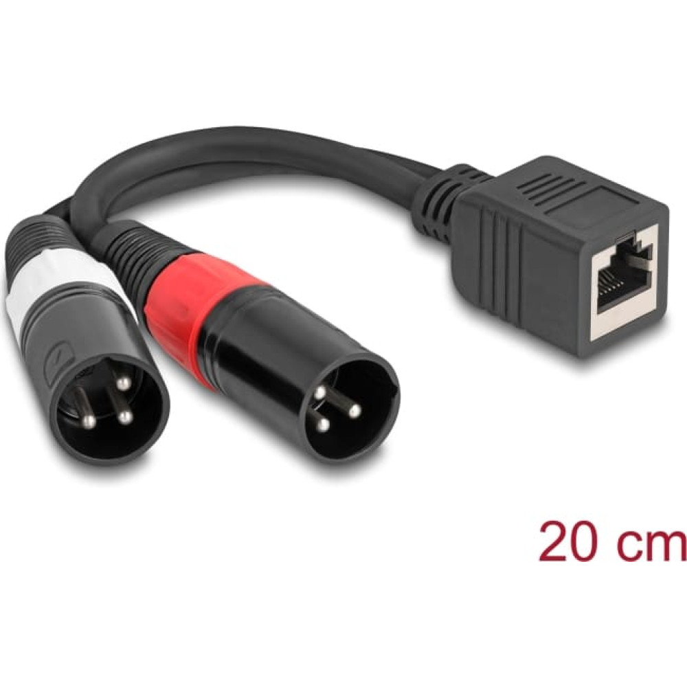 Delock Adapter Cable RJ45 jack to 2 x XLR 3 pin plug black 20 cm