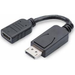 Digitus DisplayPort Adapter / Converter