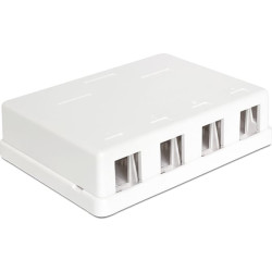Delock Keystone Surface Mounted Box 4 Port