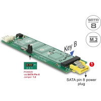 Delock Converter SATA pin 8 power receptacle > M.2 Key B slot