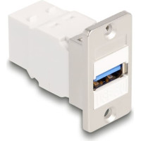 Delock Panel Mount Keystone Module USB 5 Gbps Type-A female to USB Type-B female conical