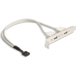 Delock Slot bracket 2 x USB 2.0 type A female external