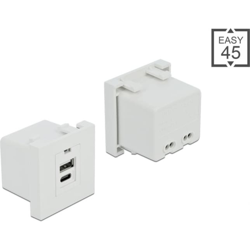 Delock Easy 45 USB Charging Port Module 1 x Type-A + 1 x USB Type-C™
