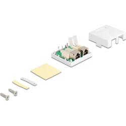 Delock Modular Wall Outlet 2 Port Cat.6