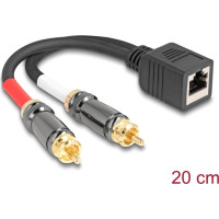 Delock Adapter Cable RJ45 jack to 2 x RCA male black 20 cm