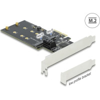 Delock 3 port SATA and 2 slot M.2 Key B PCI Express x4 Card - Low Profile Form Factor