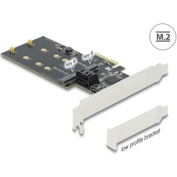 Delock 3 port SATA and 2 slot M.2 Key B PCI Express x4 Card - Low Profile Form Factor