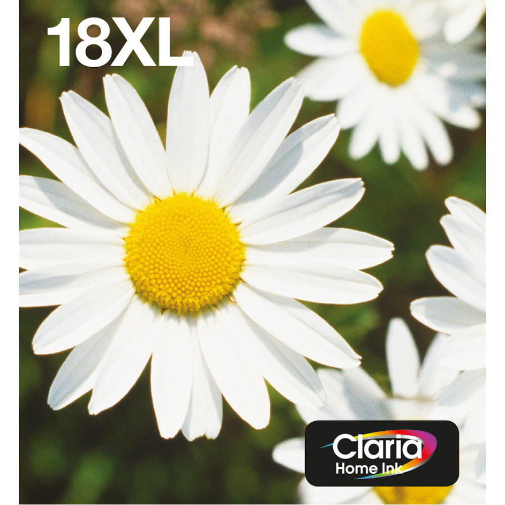 Epson Daisy Multipack 4-colours 18XL EasyMail