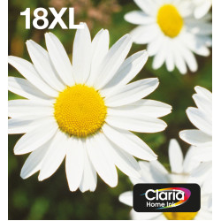 Epson Daisy Multipack 4-colours 18XL EasyMail