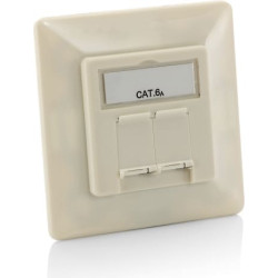 Equip Aufputz Frontplatte Cat6A 2x RJ45    RAL 1013 Perlweiß