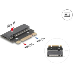 Delock Adapter M.2 Key B+M male to M.2 Key M slot - Extension