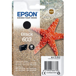 Epson C13T03U14010 tintes kārtridžs 1 pcs Oriģināls Standarta produktivitāte Melns