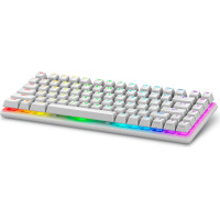 Dell Alienware Pro Wireless Gaming Keyboard tastatūra Speļu USB + RF Wireless + Bluetooth Balts