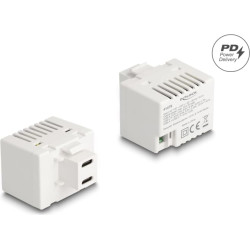 Delock Keystone Module with 2 x USB Type-C™ Charging Port PD 20 W white