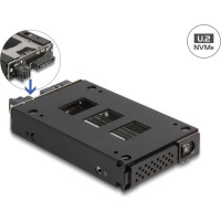 Delock Slim Bay Mobile Rack for 1 x 2.5″ U.2 NVMe SSD