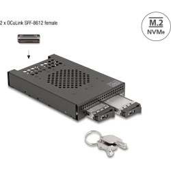 Delock 3.5″ Mobile Rack for 2 x M.2 NVMe SSD with OcuLink SFF-8612 connector