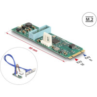 Delock Converter M.2 Key B+M male to 2 x USB 5 Gbps Type-A female with 50 cm cable