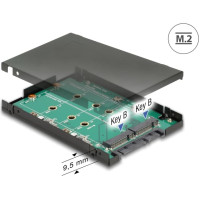 Delock 2.5″ Converter SATA 22 pin > 2 x M.2 with RAID with Enclosure