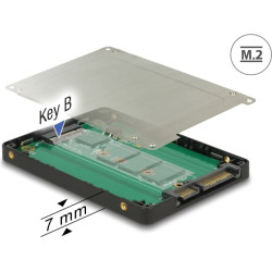 Delock 2.5″ Converter SATA 22 pin > M.2 with Enclosure