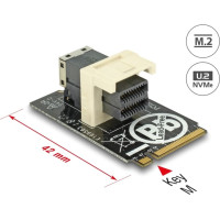 Delock Adapter M.2 Key M > SFF-8643 NVMe horizontal 2242