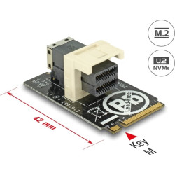 Delock Adapter M.2 Key M > SFF-8643 NVMe horizontal 2242