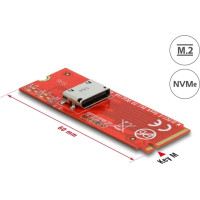 Delock M.2 Key M to 1 x OCuLink SFF-8612 Converter