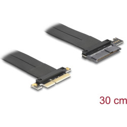 Delock Riser Card PCI Express 3.0 x4 male to U.2 SFF-8639 SSD slot with cable 30 cm