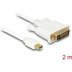 Delock Cable mini DisplayPort male to DVI 24+1 male 2 m