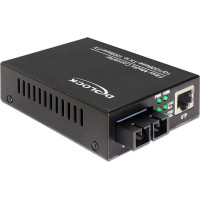 Delock Media Converter 100Base-FX SC MM 1310 nm 2 km