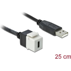 Delock Keystone Module USB 2.0 C female > USB 2.0 A male with cable