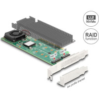 Delock PCI Express x8 Card to 2 x internal NVMe M.2 Key M with RAID - Low Profile Form Factor