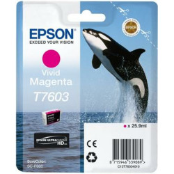 Epson C13T76034N10 ink cartridge 1 pc(s) Original Vivid magenta