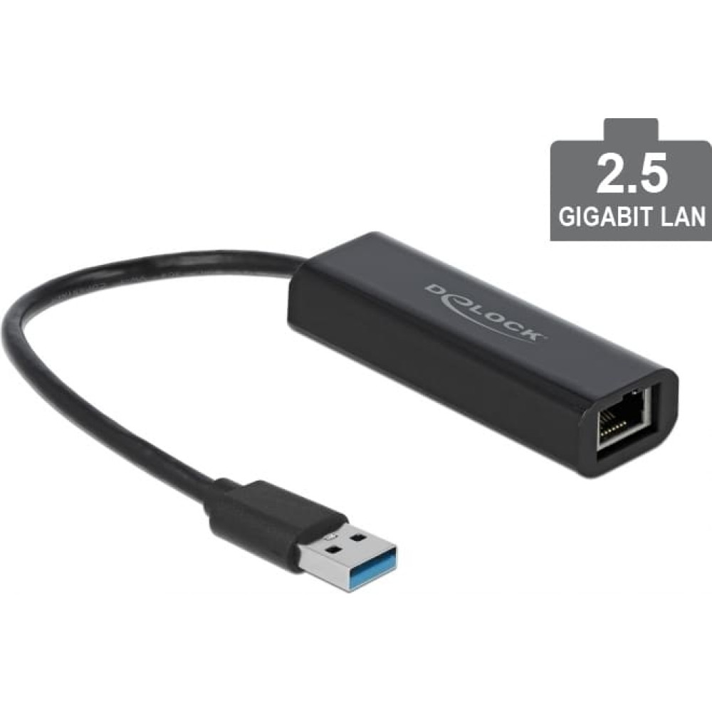 Delock USB Type-A Network Adapter 2.5 Gigabit LAN 1 x RJ45