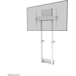 Neomounts WAH 37"-100" 1TFT motori. weiß  Max.110 (Speditionsversand)