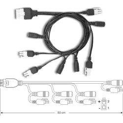 Delock Cable Mini-Fit 4.2 mm 10 pin male to 4 x DC 5.5 x 2.5 mm female and 4 x Mini-Fit 4.2 mm 2 pin male black