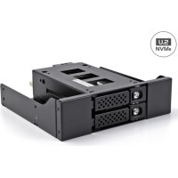 Delock Slim Bay Mobile Rack for 2 x 2.5″ U.2 NVMe SSD with 5.25″ frame