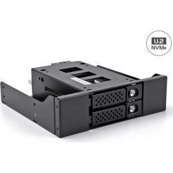 Delock Slim Bay Mobile Rack for 2 x 2.5″ U.2 NVMe SSD with 5.25″ frame