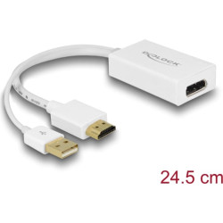 Delock Adapter HDMI-A male  Displayport 1.2 female white