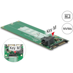 Delock Converter SATA 22 pin  SFF-8643 NVMe  1 x M.2 NGFF Key M