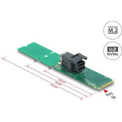 Delock Adapter M.2 Key M to SFF-8643 NVMe 22110 / 2280 / 2260