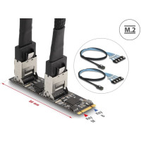 Delock Converter M.2 2280 Key B+M male to 8 x SATA